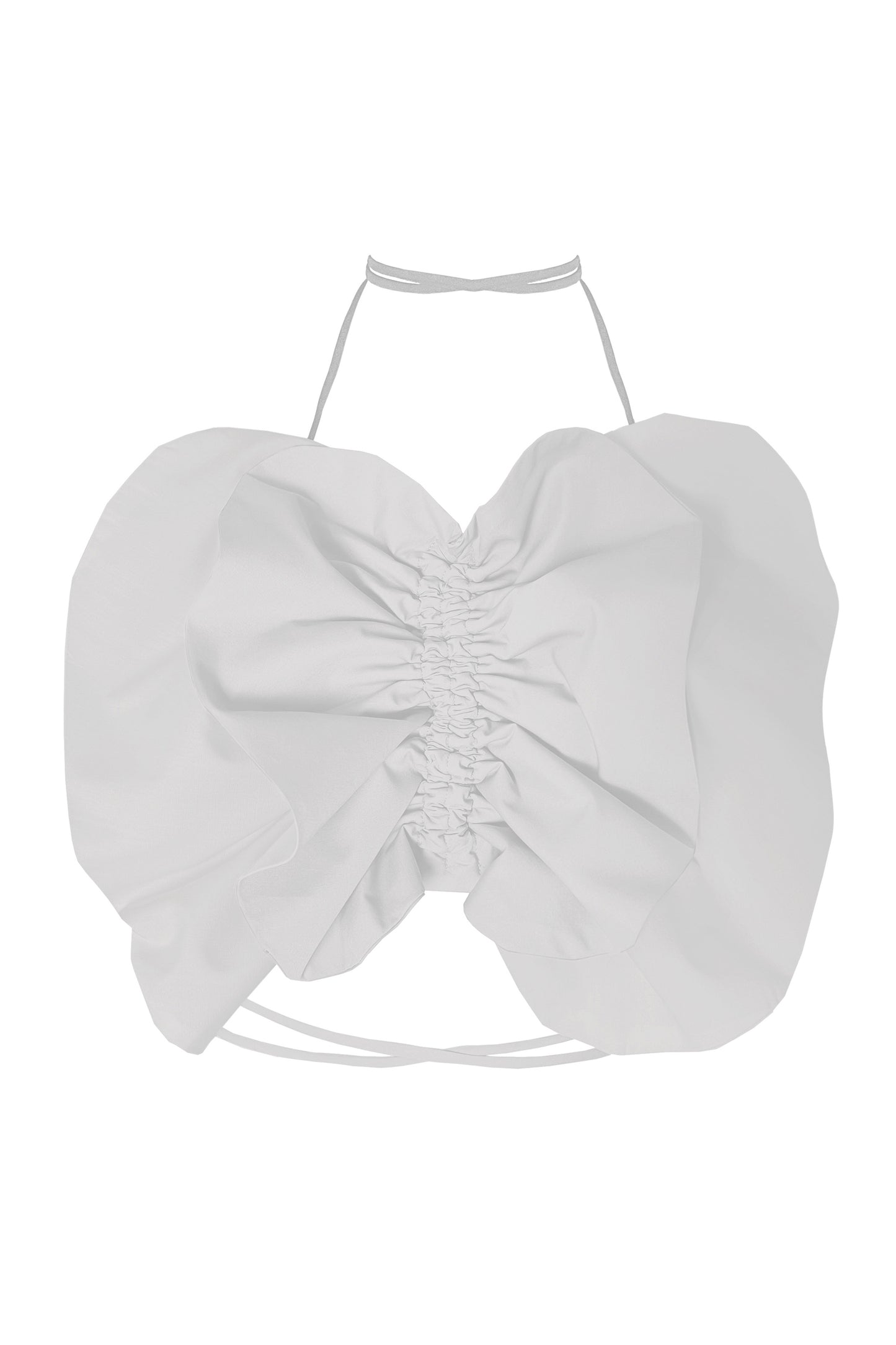 Butterfly Crop Top
