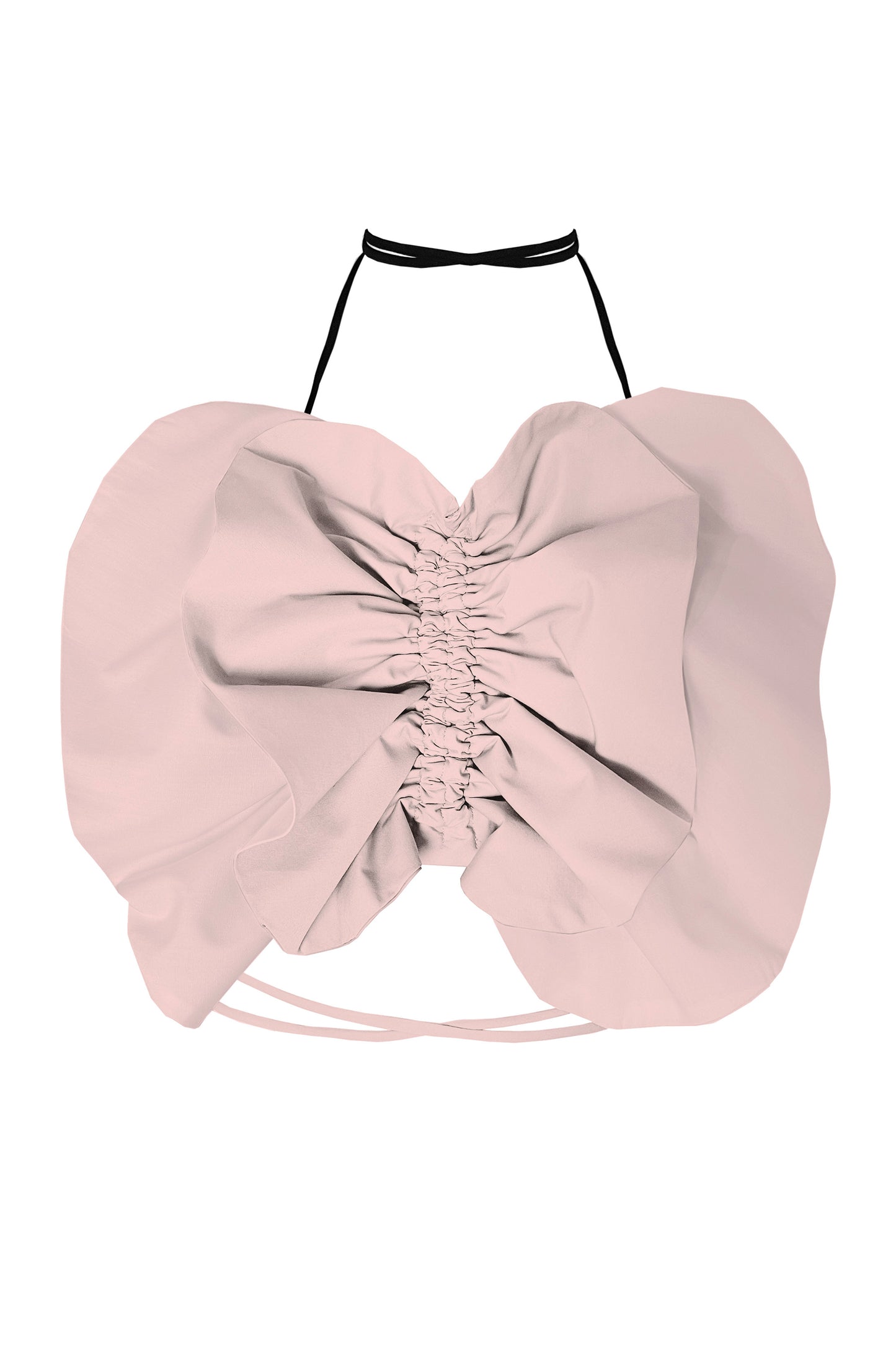 Butterfly Crop Top